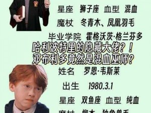 哈利波特：双面镜的秘密与寓意深度解析