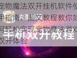 宠物魔法双开挂机软件使用指南：图文教程教你如何轻松实现宠物魔法游戏双开体验