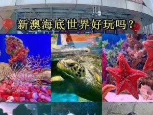 梦幻海底世界：奇幻朋友探险游戏玩法及内容深度解析全景图揭秘