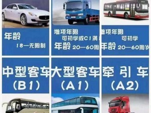 国产 A1a2a317c 最新使用攻略：轻松上手，尽享便捷