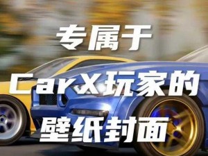 CarX漂移极速体验：安装步骤与配置指南详解