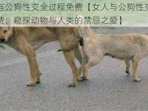 女人与公狗性交全过程免费【女人与公狗性交全过程免费：窥探动物与人类的禁忌之爱】