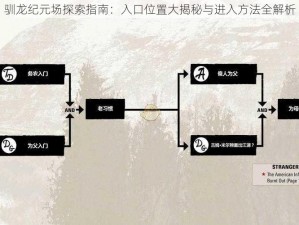 驯龙纪元场探索指南：入口位置大揭秘与进入方法全解析