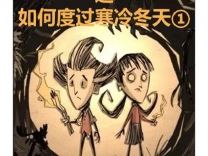 荒野求生手游冬季生存攻略：安全过冬的实用指南