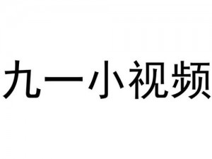 九一视频传媒：提供全方位视频解决方案