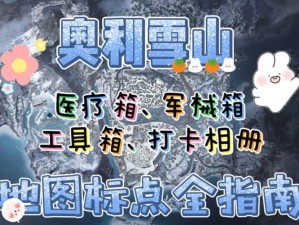 黎明觉醒手工课程揭秘：学习精细绒布制作的艺术技巧与实操指南