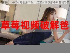 观看视频，尽在草莓视频二区，这里有你想象不到的精彩内容