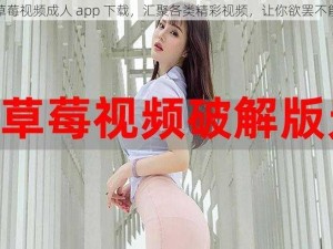 草莓视频成人 app 下载，汇聚各类精彩视频，让你欲罢不能