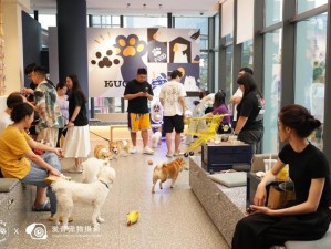 揭秘宠物展示会背后的深远影响：拓展社交、普及宠物知识及商业潜能激发的探索之旅