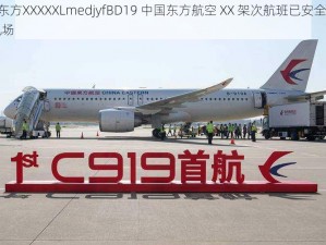 中国东方XXXXXLmedjyfBD19 中国东方航空 XX 架次航班已安全抵达 XX 机场