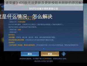 关于《王者荣耀》iOS版无法更新及更新按钮未刷新的原因解析与解决方法