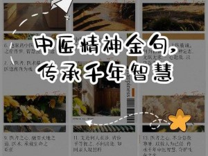 古今江湖阵法流深度解析：传承与创新并存的智慧传承之路