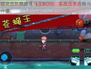 狸猫突击队挑战苍蝇王BOSS：实战击杀攻略与技巧分享