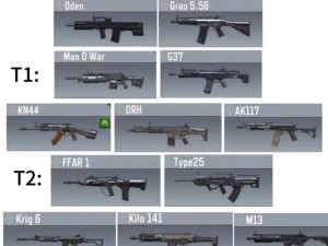 使命召唤手游实力排行榜TOP2022：解析最佳武器选择策略与强势推荐