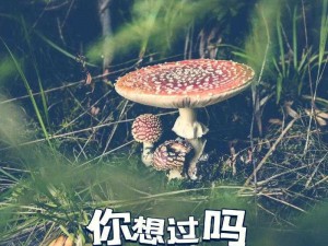 神奇的蘑菇王国：探寻奇异蘑菇的奥秘之旅