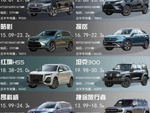 国产SUV精品201 如何评价国产 SUV 精品 201？