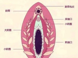 大荫蒂A高潮699 大荫蒂 A 高潮 699：探究性爱的奇妙体验