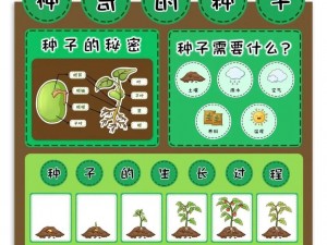 探索植物世界的起点——种子天堂的奥秘