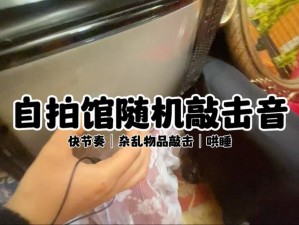 物品敲击力度对比：探究何种物品敲打人类头部最疼痛