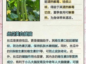 国产亚洲精品久久久久丝瓜，绿色环保，口感鲜美，营养丰富