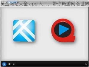 黄金网站大全 app 入口，带你畅游网络世界