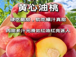 桃子移植的 1000 款黄油，满足你对黄油的所有想象