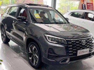 国产 SUV 精品一区，实力演绎爆款