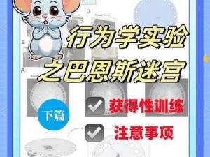 邂逅迷宫：深度解析羁绊效应，搭配策略分析与推荐，迷宫情感连线全解析