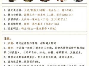 阴阳师浪客远道第十层攻略详解：策略与技巧全解析助你轻松通关