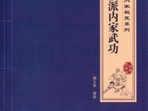 江湖武林秘传全攻略：悠悠岁月中的武学秘技大解析与全职业技艺概览