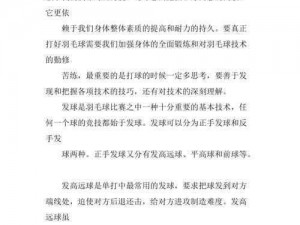 《羽毛球高高手的技艺之路：实战心得分享》