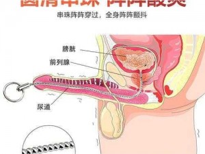 太国少妇 BBr 搡 B 揉 B 泡，专为男性打造的成人情趣用品