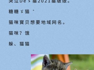 猫咪最新地域网名 3336PT3，是一款为猫咪爱好者打造的个性化产品