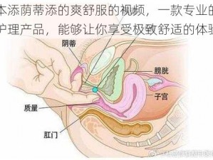 日本添荫蒂添的爽舒服的视频，一款专业的私密护理产品，能够让你享受极致舒适的体验