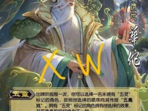 三国世界里的华佗萌态十足，武将技能深度解析：神医的策略与智慧