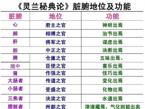 关于兰陵王妃内功修炼系统的全面玩法解析