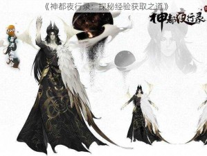 《神都夜行录：探秘经验获取之道》