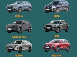 国产一级 SUV 大全，经济实用，性价比高