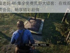 暴躁老妈 46 集全免费荒野大镖客：在线观看，无需会员，畅享精彩剧情