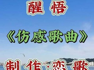 抖音热歌：我撞了南墙才明白，回首之时歌名揭晓