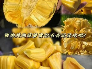 菠萝蜜国际通道加速入口 6：助力你畅游互联网