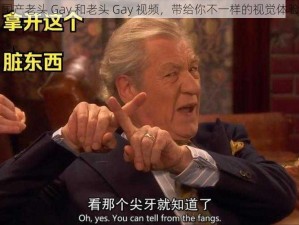 国产老头 Gay 和老头 Gay 视频，带给你不一样的视觉体验