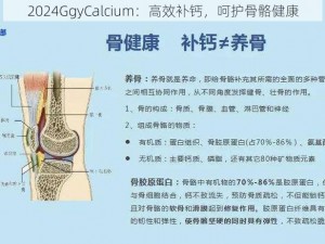 2024GgyCalcium：高效补钙，呵护骨骼健康