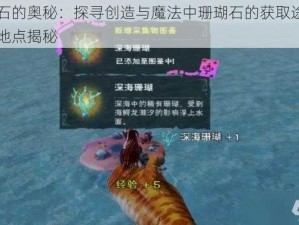 珊瑚石的奥秘：探寻创造与魔法中珊瑚石的获取途径与出产地点揭秘