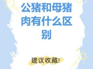 为什么要选择女人和公豬交内谢的原因？