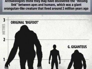 神秘生物 bigfoot 已被禁用，你听说过吗？