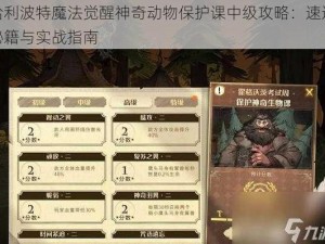 哈利波特魔法觉醒神奇动物保护课中级攻略：速通秘籍与实战指南