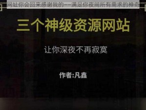 夜间网址你会回来感谢我的——满足你夜间所有需求的神奇网站