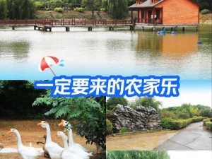 农家乐独特风情展示：特色玩法与乡村体验一览