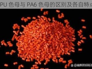 TPU 色母与 PA6 色母的区别及各自特点